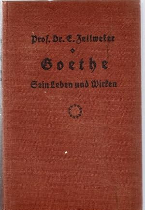 Goethe. Sein Leben und Wirken in Bildern und Urkunden nebst einem Vorspiel Goethes Leben in Schat...