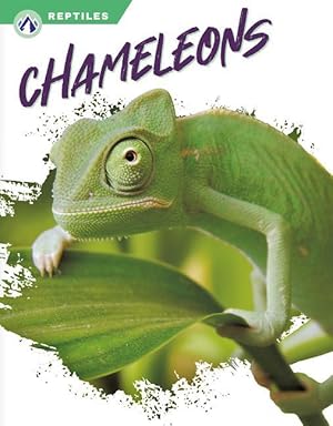 Bild des Verkufers fr Chameleons zum Verkauf von moluna