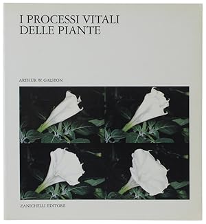 I PROCESSI VITALI DELLE PIANTE: