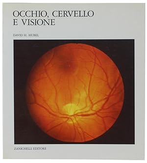 Immagine del venditore per OCCHIO, CERVELLO E VISIONE: venduto da Bergoglio Libri d'Epoca