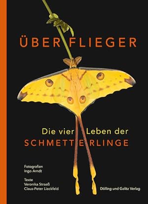 Imagen del vendedor de berflieger. Die vier Leben der Schmetterlinge. a la venta por A43 Kulturgut