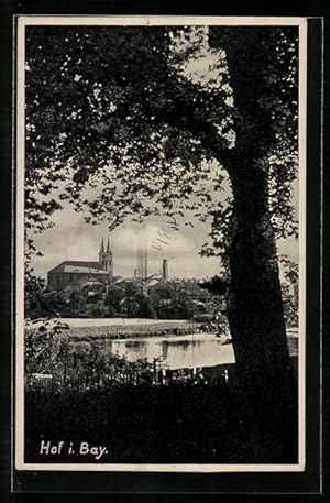 Ansichtskarte Hof / Saale, Blick vom Waldesrand auf die Ortschaft