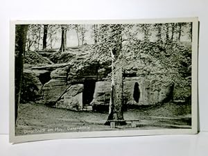 Dingelstedt am Huy. Alte Ansichtskarte / Postkarte s/w, gel. 1966. Daneilshöhle.