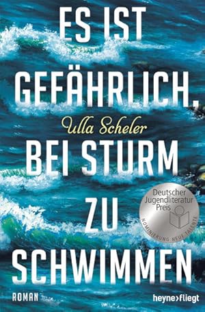 Bild des Verkufers fr Es ist gefhrlich, bei Sturm zu schwimmen: Roman zum Verkauf von Versandantiquariat Felix Mcke