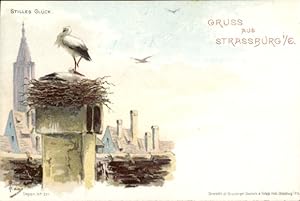 Künstler Litho Haas, Straßburg, Stilles Glück, Zwei Störche in ihrem Nest auf einem Schornstein