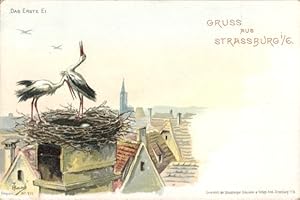 Künstler Litho Haas, Straßburg, Störche mit Ei in ihrem Nest, Schornstein