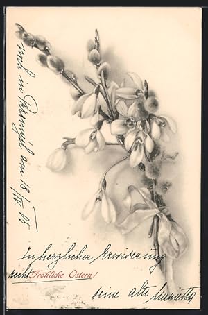 Künstler-Ansichtskarte M. Munk Nr. 221: Kätzchenzweig mit Blüten, Ostergruss
