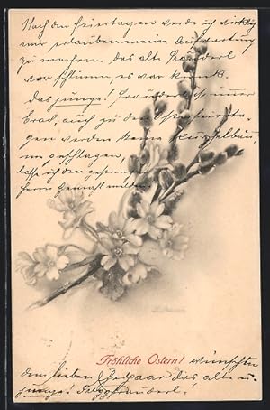 Künstler-Ansichtskarte M. Munk Nr. 221: Kätzchenzweig mit Blüten, Ostergruss