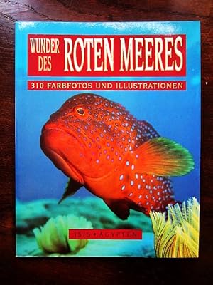 Wunder des Roten Meeres