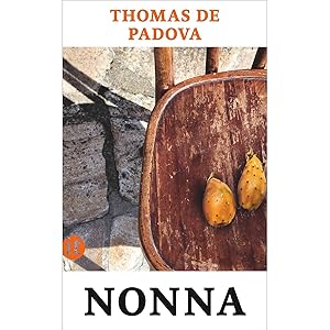 Seller image for Nonna: Die Geschichte meiner italienischen Gromutter (insel taschenbuch) for sale by artbook-service