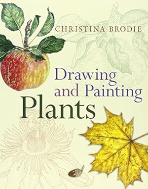 Imagen del vendedor de Drawing and Painting Plants a la venta por WeBuyBooks