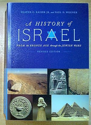 Image du vendeur pour A History of Israel: From the Bronze Age through the Jewish Wars mis en vente par Pendleburys - the bookshop in the hills