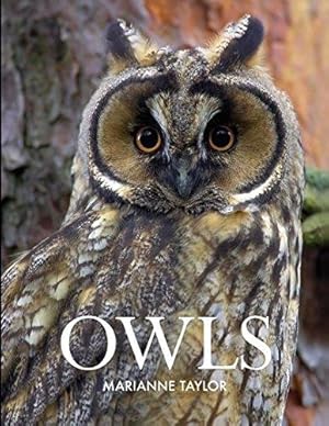 Immagine del venditore per Owls venduto da WeBuyBooks