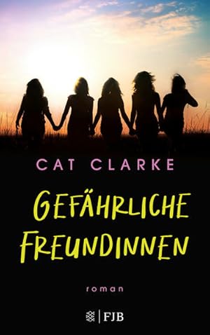 Seller image for Gefhrliche Freundinnen: Roman for sale by Versandantiquariat Felix Mcke