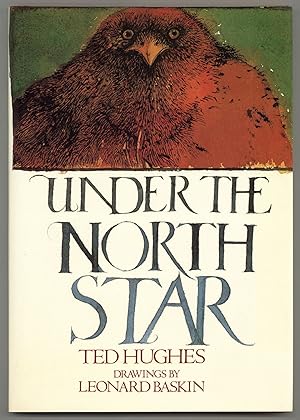 Under the North Star