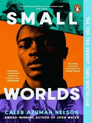 Seller image for Small Worlds; The ToP TEN Sunday Times Bestseller Special Collection for sale by Collectors' Bookstore