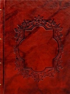 Seller image for The Doorbells of Florence; Fictional Stories and Photographs Special Collection for sale by Collectors' Bookstore