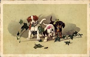 Ansichtskarte / Postkarte Drei junge Hunde, Efeublätter