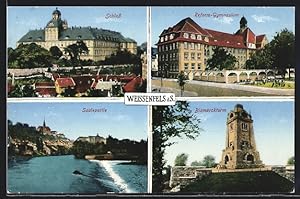 Ansichtskarte Weissenfels a. S., Schloss, Reform-Gymnasium, Saalepartie und Bismarckturm