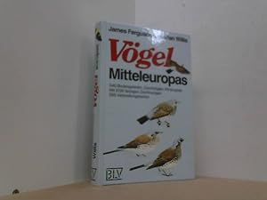 Image du vendeur pour Vgel Mitteleuropas. mis en vente par Antiquariat Uwe Berg