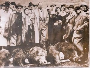 Princely hunt. Crown Prince Umberto of Piedmont and a few wild boars killed during an organized h...