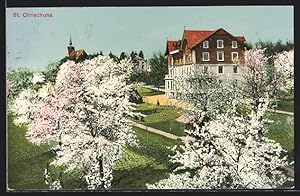 Ansichtskarte St. Chrischona, Wohnhaus während der Baumblüte