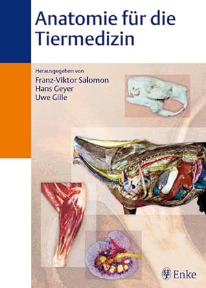 Bild des Verkufers fr Anatomie fr die Tiermedizin zum Verkauf von Studibuch