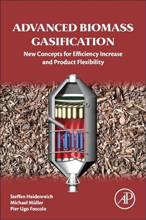 Imagen del vendedor de Advanced Biomass Gasification : New Concepts for Efficiency Increase and Product Flexibility a la venta por GreatBookPricesUK