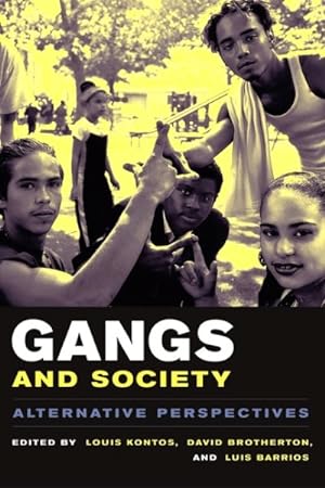 Imagen del vendedor de Gangs and Society : Alternative Perspectives a la venta por GreatBookPricesUK