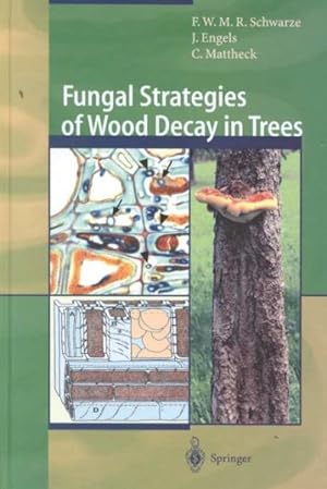 Seller image for Fungal Strategies of Wood Decay in Trees for sale by GreatBookPrices