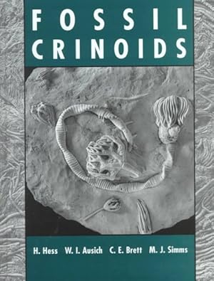 Seller image for Fossil Crinoids for sale by GreatBookPrices
