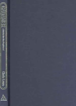 Imagen del vendedor de Gadamer : A Guide for the Perplexed a la venta por GreatBookPrices