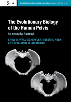 Seller image for Evolutionary Biology of the Human Pelvis : An Integrative Approach for sale by GreatBookPricesUK