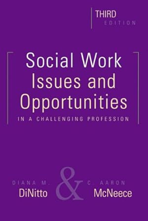 Seller image for Social Work : Issues and Opportunities in a Challenging Profession for sale by GreatBookPricesUK