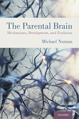 Seller image for Parental Brain : Mechanisms, Development, and Evolution for sale by GreatBookPrices