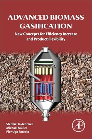Imagen del vendedor de Advanced Biomass Gasification : New Concepts for Efficiency Increase and Product Flexibility a la venta por GreatBookPricesUK