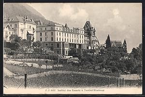 Ansichtskarte Territet-Montreux, Institut des Essarts