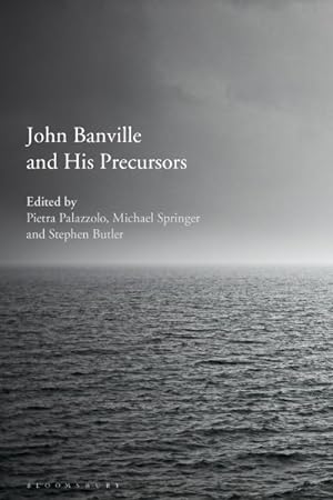 Immagine del venditore per John Banville and His Precursors venduto da GreatBookPrices