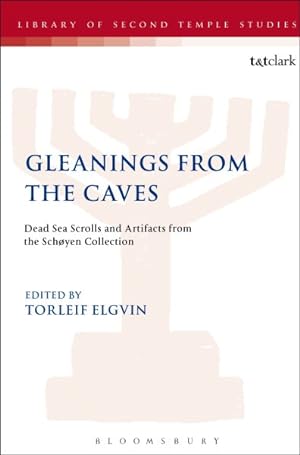 Imagen del vendedor de Gleanings from the Caves : Dead Sea Scrolls and Artefacts from the Schyen Collection a la venta por GreatBookPrices