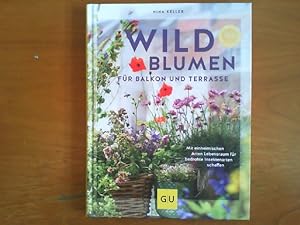 Wildblumen für Balkon und Terrasse. Mit einheimischen Arten Lebensraum für bedrohte Insektenarten...