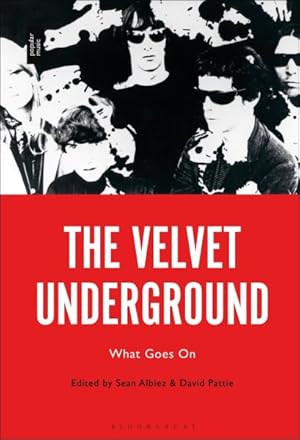 Seller image for Velvet Underground : What Goes on for sale by GreatBookPrices