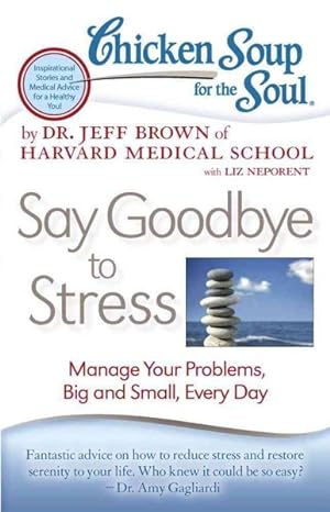 Imagen del vendedor de Chicken Soup for the Soul Say Goodbye to Stress : Manage Your Problems, Big and Small, Every Day a la venta por GreatBookPrices