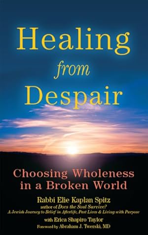 Imagen del vendedor de Healing from Despair : Choosing Wholeness in a Broken World a la venta por GreatBookPrices