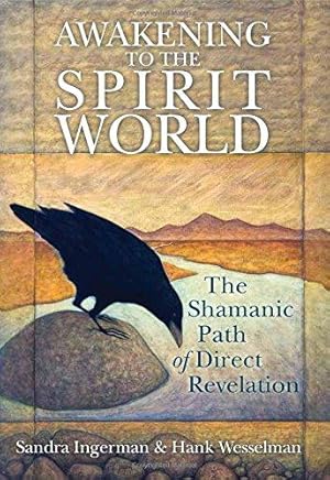 Imagen del vendedor de Awakening to the Spirit World: The Shamanic Path of Direct Revelation a la venta por WeBuyBooks