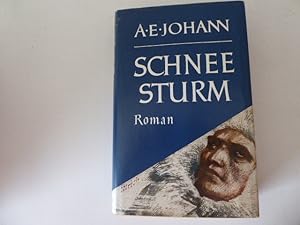 Bild des Verkufers fr Schneesturm. Roman einer Flucht nach Hause. Leinen mit Schutzumschlag zum Verkauf von Deichkieker Bcherkiste