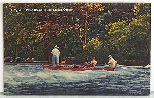 Seller image for A Typical Float Scene in the Scenic Ozarks - Postcard for sale by Argyl Houser, Bookseller