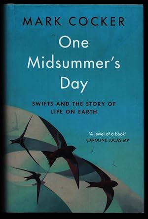 One Midsummer's Day. Swifts and the Story of Life on Earth.
