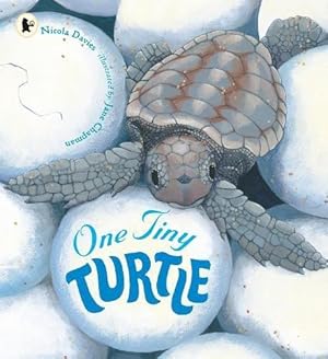 Immagine del venditore per One Tiny Turtle venduto da WeBuyBooks