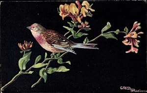 Künstler Ansichtskarte / Postkarte Vogel am blühenden Baum, Blüten