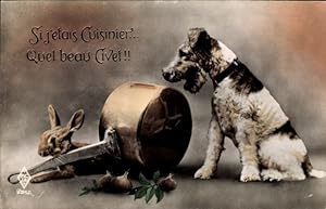 Ansichtskarte / Postkarte Terrier, Kaninchen, Topf, Zwiebeln